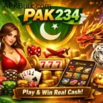 pak234 game