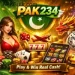 pak234 game