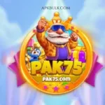 pak 75 game