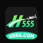 H555 game